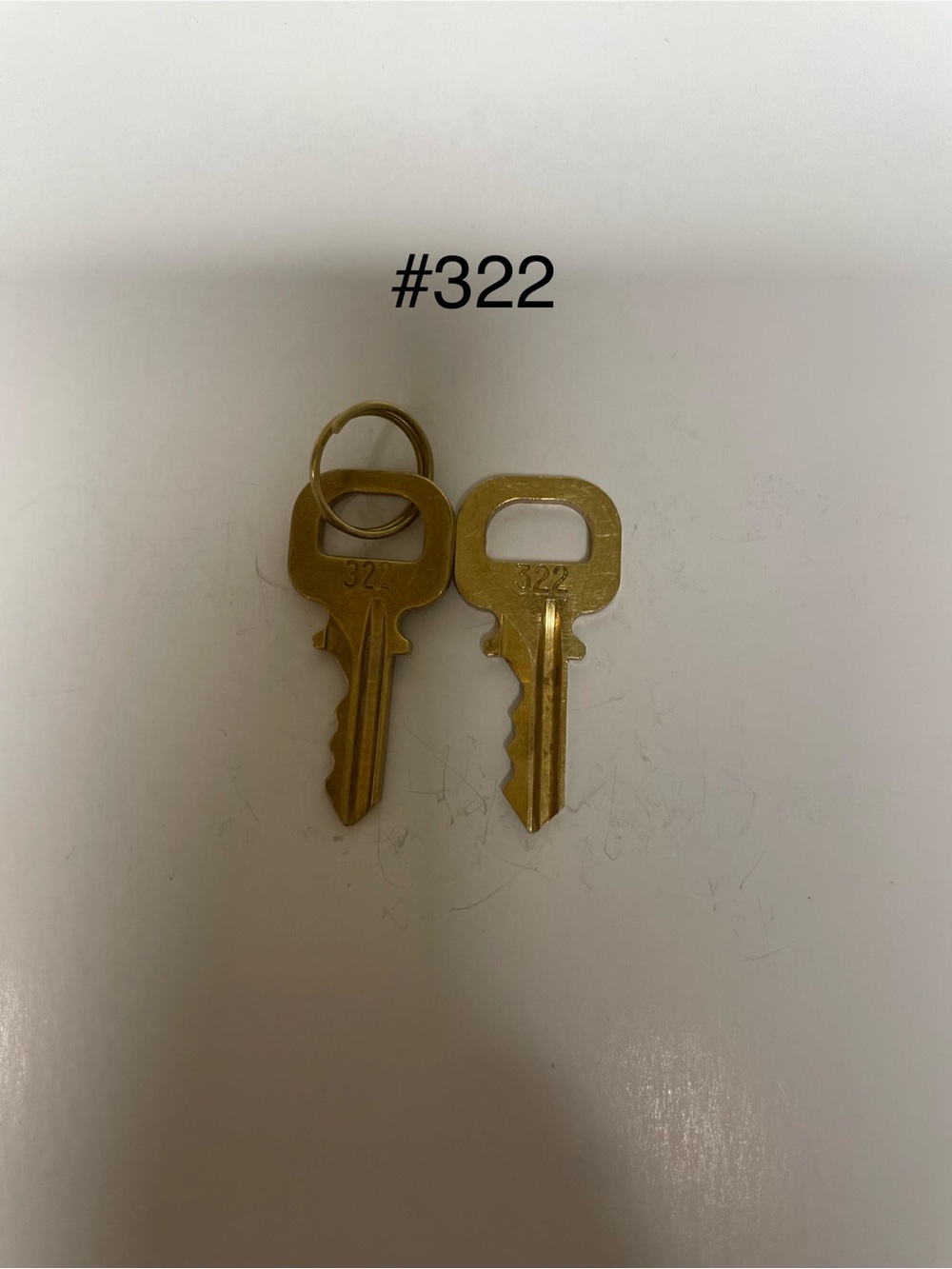 Louis Vuitton #322 Spare Key